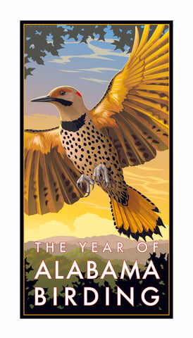 Year of Alabama Birding Poster